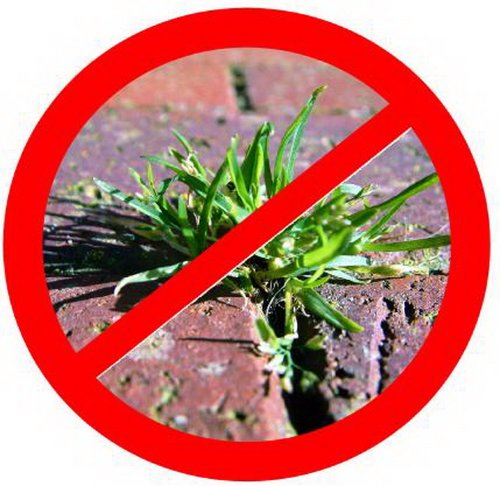 Noor Unkrautblocker Unkrautfolie 01009010UKSC 105 gr/m² 0,90 x 10 m - 4