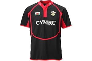 Manav Adult New Cooldry Welsh Wales Sports Rugby Shirt Super Premium Casual Classic Rugby Wear Superlight Training Performance Shirts Gifts for Men
