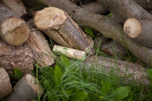 Ixogon Zeckenrollen – Mittel gegen Zecken im Garten - 9