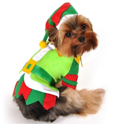 Boy-Pet-Dog-Cat-Santas-Christmas-Elf-Gift-Fancy-Dress-Costume-Outfit-Clothes-XS-XL
