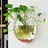 ✔ Este cuenco para pescado está hecho de acrílico, que es más resistente que el vidrio y no se rompe fácilmente. También pesa menos que un cuenco de cristal.