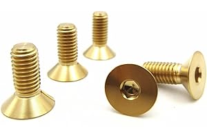 RISON-Titanium Lot de 5 Boulons en Titane M6x1.0x20mm, Vis à Tête Fraisée avec Six Pans Creux, Vis à Tête Plate Allen, Vis en Titane Hexagonale pour Moto Vélo VTT