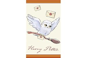 CARBOTEX Harry Potter Hedwig HP213003-R - Asciugamano per bambini, 30 x 50 cm