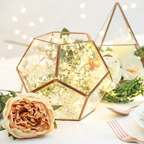 Vase Mini Gewächshaus Terrarium aus Glas und Metall Farbe Kupfer 15,8 cm von Festive Lights - 2