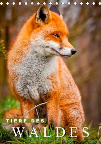 Tiere des Waldes (Tischkalender 2014 DIN A5 hoch): Wo sich Fuchs und Hase 