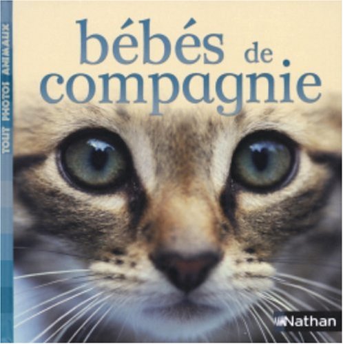couverture de : Bébés de compagnie
