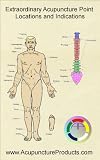 Image de Extraordinary Acupuncture Point Locations and Indications (English Edition)