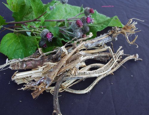 Preisvergleich Produktbild Naturix24 – Klettenwurzeltee, Klettenwurzel ganz – 1 Kg Beutel