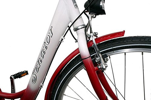 Citybike 28′ Zoll Alu 7-Gang Nabenschaltung STVZO Nabendynamo Rücktritt RH 50 cm - 3