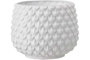 Nordring Vaso Pino - per Fiori da Interno e Piante da Interno, Piante grasse, Cactus, Orchidee L (16,5 cm ø), Bianco, Ceramica Gres