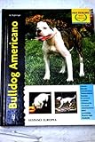 Image de Bulldog Americano / American Bulldog