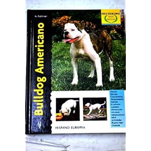 Bulldog Americano / American Bulldog