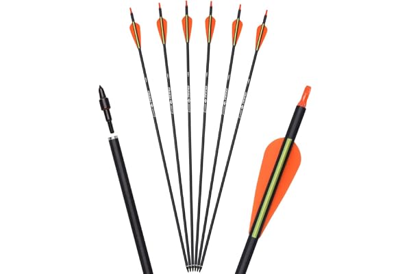 ELONG OUTDOOR Flèches de Chasse en Carbone avec Pointes Amovibles de 100 Grains pour tir à l'arc composé et Classique et tir à l'arc Traditionnel (Lot de 6/12)