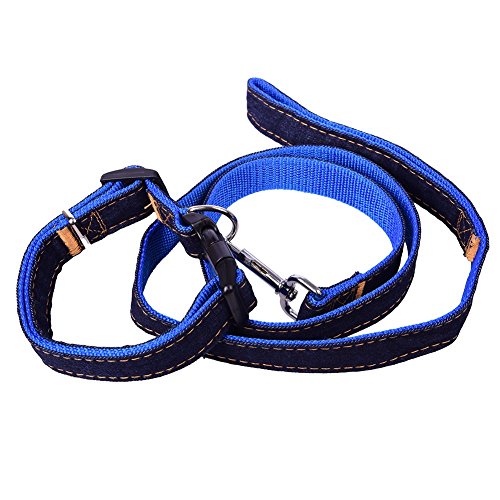 Preisvergleich Produktbild Stabiler Denim Hundeleine mit Halsband Set