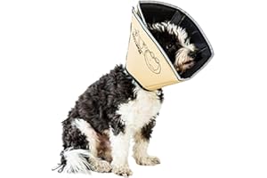 All Four Paws „The Comfy Cone“ Halskrause für Haustiere, Large