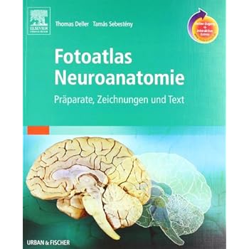 [PDF] Fotoatlas Neuroanatomie mit StudentConsult-Zugang: Práparate - Zeichnungen und Text KOSTENLOS DOWNLOAD