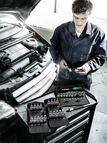 Wera 8790 HMC HF 1 Bit-Sortiment, Zyklop Steckschlüsseleinsatz-Satz mit Haltefunktion, 05004203001 - 16