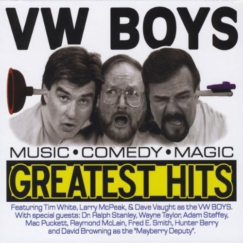 Preisvergleich Produktbild Vw Boys Greatest Hits by Vw Boys