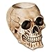 Produktbild Flaschenhalter Flaschen Halter Totenkopf Totenschädel Skull 17 x 13 cm