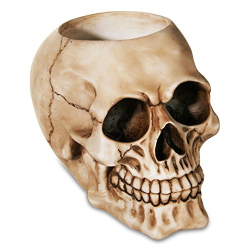 Preisvergleich Produktbild Flaschenhalter Flaschen Halter Totenkopf Totenschädel Skull 17 x 13 cm