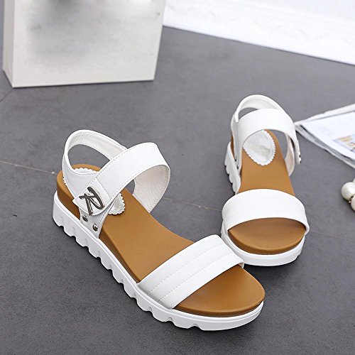 Damen Sommer Sandalen Xinan im Flachen Sandalen Bequeme Damenschuhe (40, Weiß) - 7