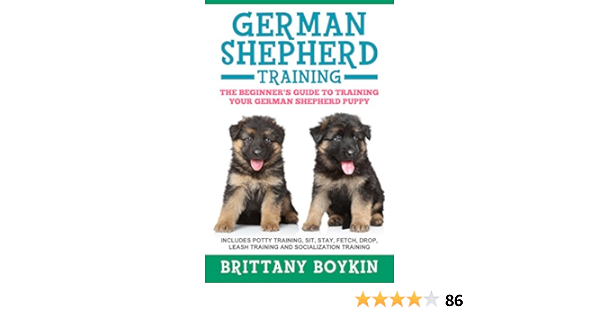 leash training german shepherd