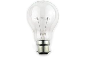 DECK INN 10x 100 Watt Clear Light Bulbs GLS Lamps - BC/B22 Bayonet Base-240V