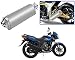 Auto Pearl Premium Quality High Performance Bike Exhaust Muffler Silencer Triangle Silver For - TVS Flame SR125 RS.2899.00