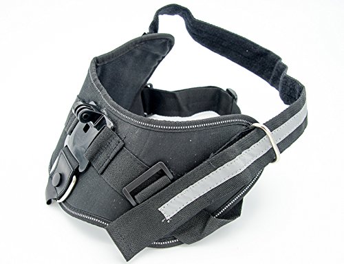 PROtastic Deluxe perro para pantalla plana (tamaño grande) para GoPro/Xiaomi/SJCAM cámaras de acción