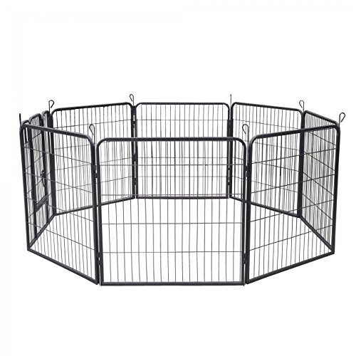 ZOOMUNDO-puppy-area-big