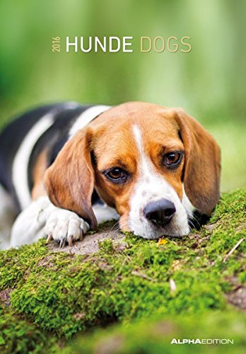 Hunde 2016 - Dogs - Bildkalender (24 x 34) - Tierkalender