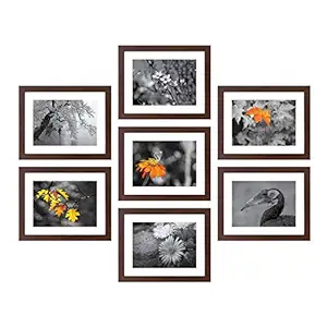 Amazon Brand - Solimo Brown Collage Set of 7 Photo Frames ( 8 X 10 Inch - 7)