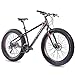 Produktbild CHRISSON 26 Zoll Fatbike Mountainbike Fahrrad - Fat Two - Hardtail Fat Tyre Mountain Bike - MTB mit 4.0 fette Reifen und 27 Gang Shimano Schaltung und Zwei Scheibenbremsen