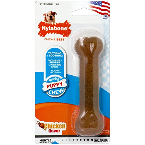 Nylbone JU01030 Hueso para Cachorros Pequeño