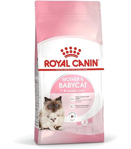 Royal Canin Kitten Cat Food, 2 Kg : Amazon.co.uk: Pet Supplies