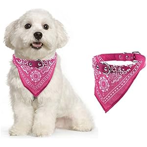 ALCYONEUS Halsband für Hunde und Katzen, aus Kunstleder, mit Halstuch, verstellbar