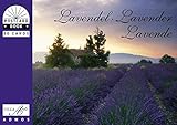 Lavendel, Lavender, Lavende: Postkartenbuch by 