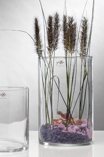 Glasvase CYLI Glas Vase Tischvase Blumenvase Zylinder 30 cm