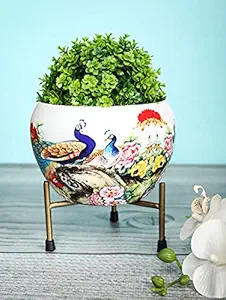 Homspurts Designer Metal Pot with Stand (5 inches). Decorative Pots for Indoor Plants/Metal Plant Pots for Living Room, Balcony and Garden/Home d