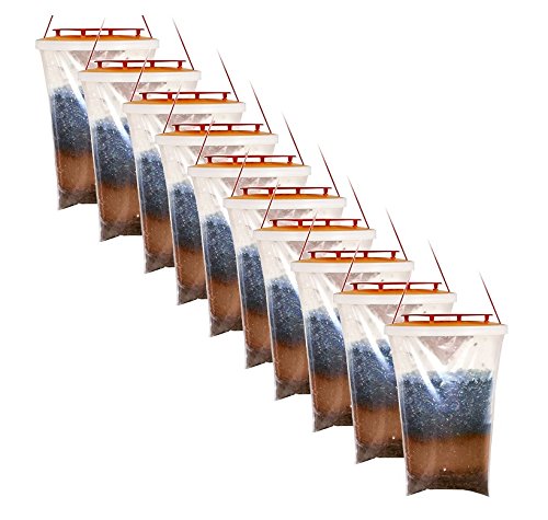 Red Top Lote de trampas para moscas