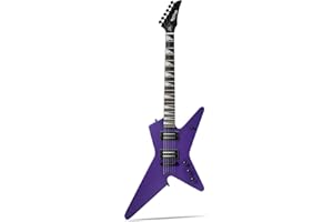 WestCreek Guitars HIGH VOLTAGE Chitarra Elettrica, V Heavy Metal Corpo Solido Electric Guitar, Corpo Mogano, Acero Collo, Palissandro Tastiera, Capotasto in Osso, 22 Tasti (Viola Opaco)