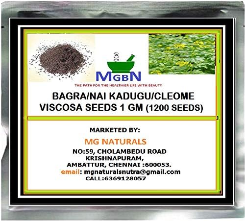MGBN THE PATH FOR THE HEALTHIER LIFE WITH BEAUTY Bagra/Nai Kadugu/Cleome Viscosa Seeds (1 Gm) -1200 Seeds