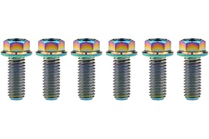 Yaruijia Tornillos de titanio M8x15 20 25 30 35 40 45 50 55 60 65 mm de brida pequeña hexagonal para piezas de motocicleta Pich 1,25 mm Pack de 6 (M8x20 mm, arco iris)