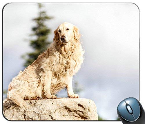 Preisvergleich Produktbild Labrador Retriever Dogs Mousepads 12