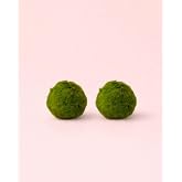 PUR PLANT 2 x Marimo Ball | Natural Wet Moss Ball | Natural Decoration for Terrariums, Aquarium and Fish Tank | &Oslash; 3 cm