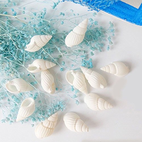 Miniatur Garten Sand Strand Landschaft Verzierung Muschel Fertigkeit Dekor Kleine weiße Schnecken - 3
