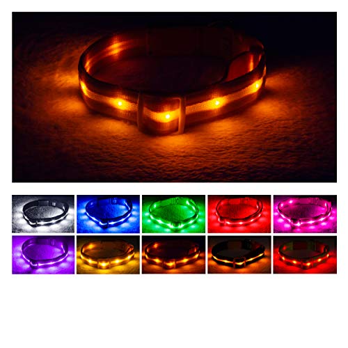 Blazin' Safety LED Hundehalsband - USB wiederaufladbar mit wasserfestem Blinklicht, Small, Orange
