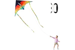 Hillylolly Latawiec 125 × 65 cm kolorowy smok, Delta, na plażę, parkowanie