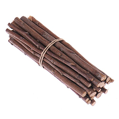 Eichhörnchen Tree Zweige, Holz Kauen Spielzeug für Hamster Ratten Mäuse Rennmäuse Kleine Tiere - 2