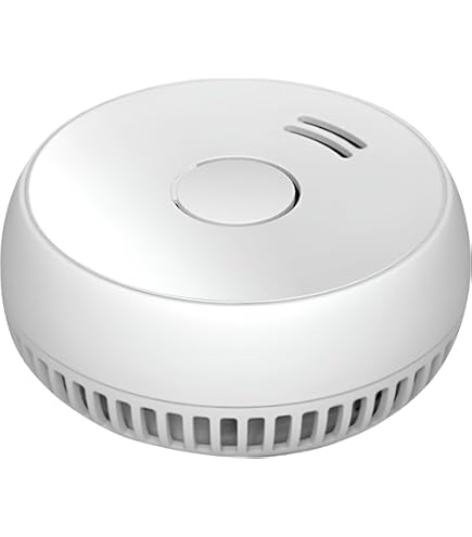 ProElite Fire Cigarette Kitchen Smoke Detector Alarm Sensor for Home Safety  : Amazon.in: Home Improvement